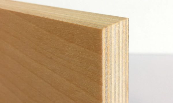 シラカバ間伐材合板の断面